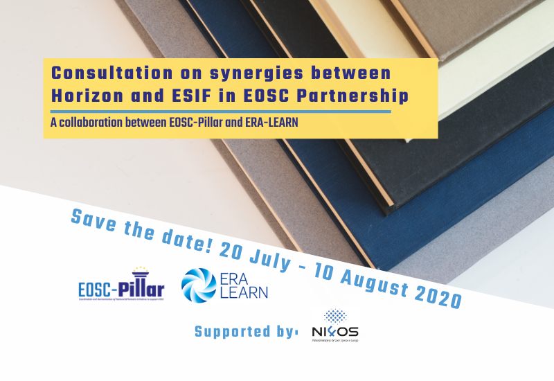 EOSC Pillar consultation