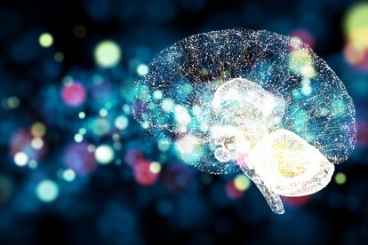 EBRAINS voucher programme