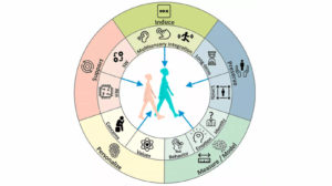 BodyInTransits project