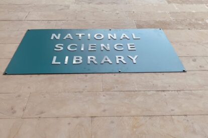 NSL plaque